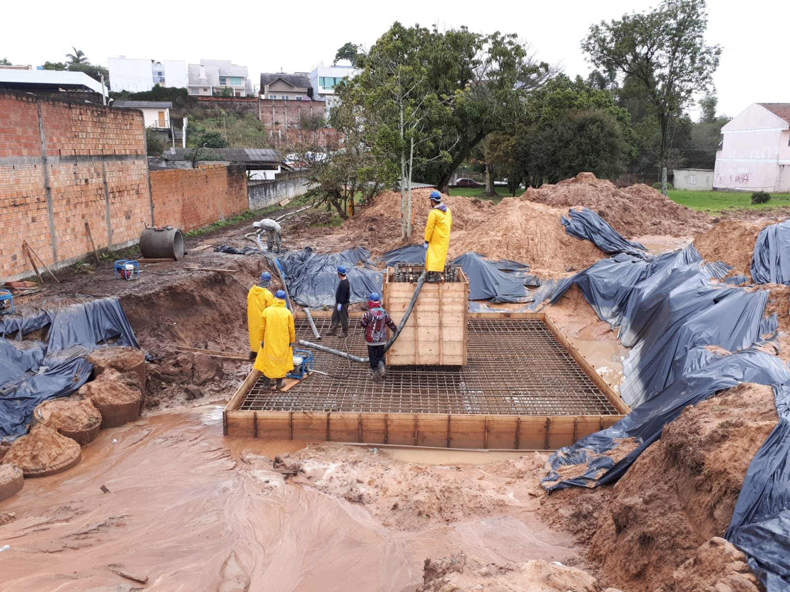 Trinium em campo 15